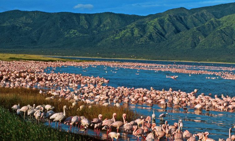 Lake Elementaita