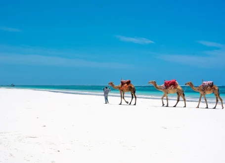 Diani-Beach-2-scaled