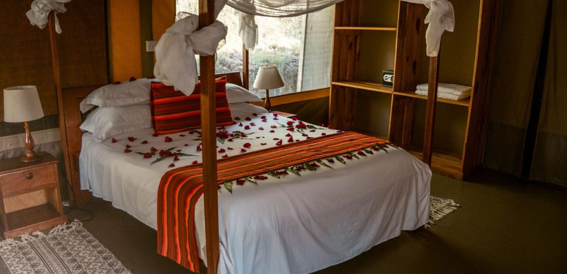 IM_KE_MAR_Zebra-Plains-Mara-Camp_Bedroom