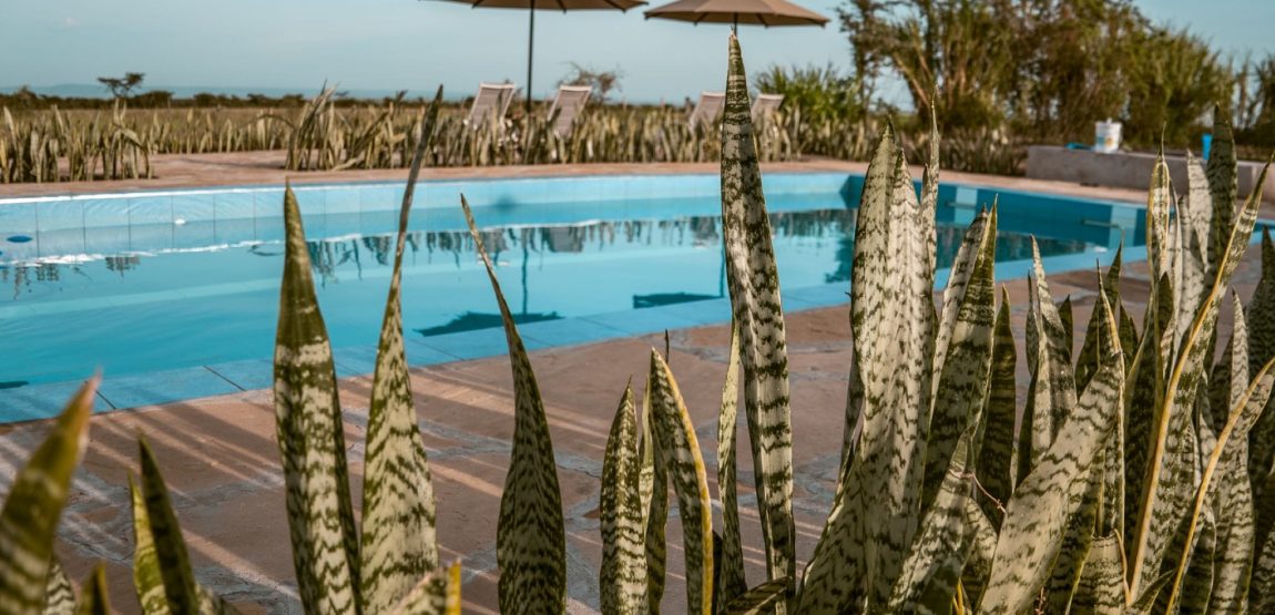 IM_KE_MAR_Zebra-Plains-Mara-Camp_Pool