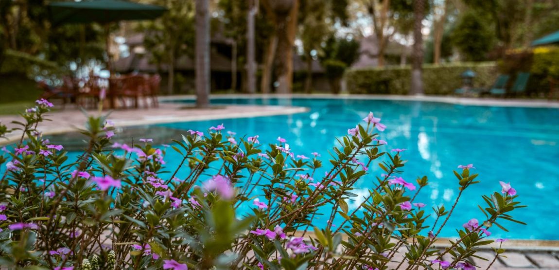 IM_KE_NVS_Lake-Naivasha-Simba-Lodge_pool