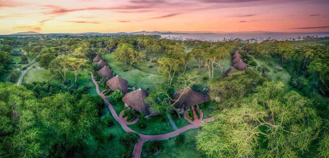 aerial-view-2-scaled