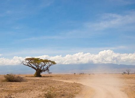 road-maasai-mara